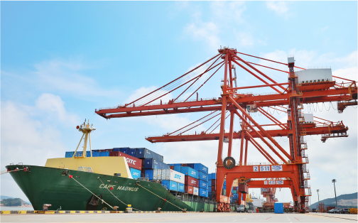 亿万先生MR状元岙港务分公司