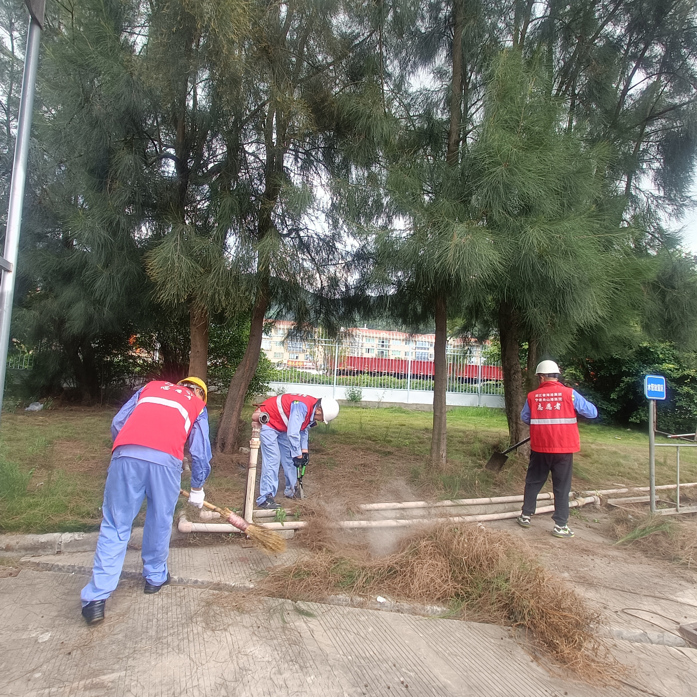 状元岙公司组织开展美化港区情形自愿服务活动